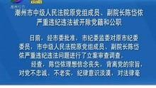 潮州精彩爆料新闻报道最新,揭秘城市魅力与民生热点