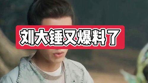 刘大锤最新爆料的谁,最新爆料事件背后的惊人真相