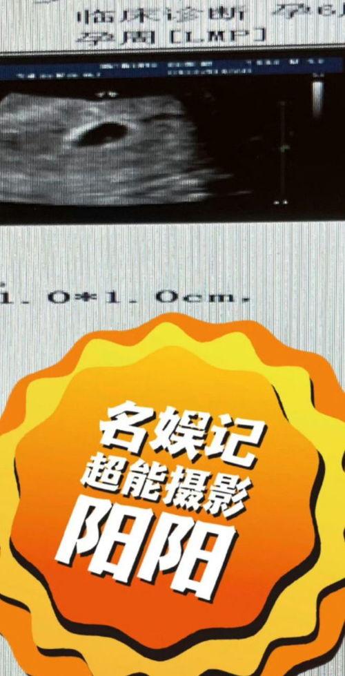 狗仔爆料实锤大瓜视频,实锤大瓜视频幕后真相曝光
