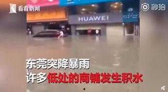 济南探店爆料事件视频,网红美食背后的真相大揭秘 第3张 济南探店爆料事件视频,网红美食背后的真相大揭秘 第3张