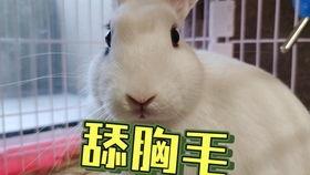 吃瓜爆料抖音网红美女,揭秘瓜田里的时尚达人” 第2张 吃瓜爆料抖音网红美女,揭秘瓜田里的时尚达人” 第2张