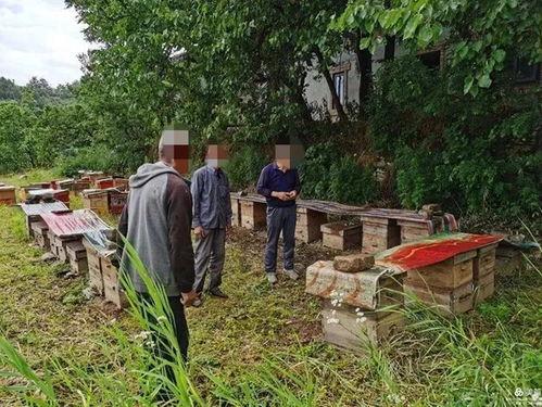 西安二环内爆料案件最新,真相即将揭晓! 第2张 西安二环内爆料案件最新,真相即将揭晓! 第2张