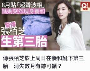 五胎宝妈爆料视频大全集,育儿生活全景大揭秘  第3张