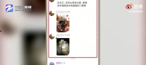 浙江教育爆料新闻事件最新,真相揭晓！  第3张