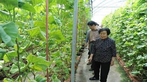 博雅吃瓜网红是谁呀图片,网络红人的崛起与影响力  第3张