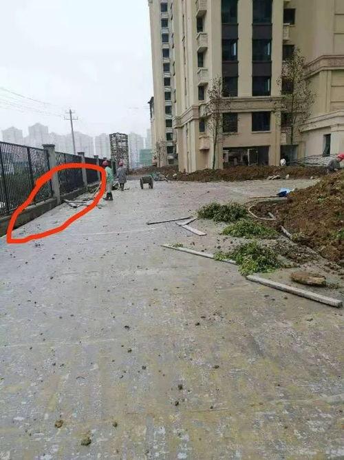 肥东小区最新爆料  第3张