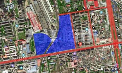 哈尔滨道外区最新爆料,揭秘神秘事件背后的真相  第2张