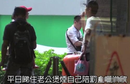 张丹峰爆料陈赫视频合集,真相与争议全解析  第3张