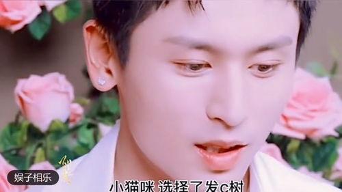 爆料洛阳楼盘黑料视频播放,揭秘背后惊人真相! 第3张 爆料洛阳楼盘黑料视频播放,揭秘背后惊人真相! 第3张