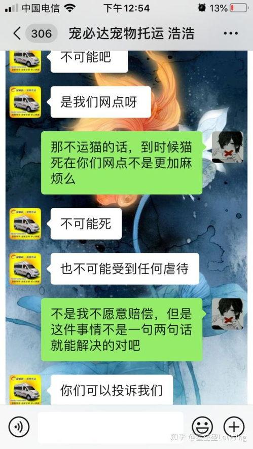 黑心宠物爆料视频,视频曝光惊人内幕  第2张