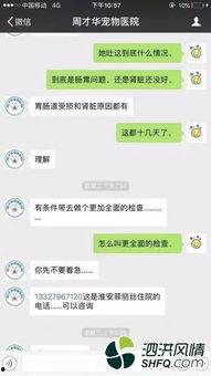 黑心宠物爆料视频,视频曝光惊人内幕  第3张