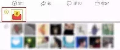 安康在线最新爆料新闻网,最新新闻网热点事件深度解析 第3张 安康在线最新爆料新闻网,最新新闻网热点事件深度解析 第3张