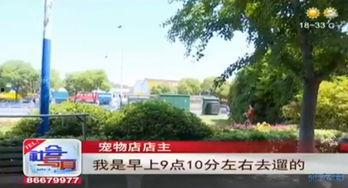 联兴花园事件爆料视频最新,揭秘真相与争议焦点 第3张 联兴花园事件爆料视频最新,揭秘真相与争议焦点 第3张