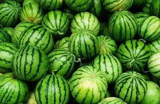 有什么免费吃瓜群,畅享娱乐盛宴，轻松获取热门资讯  第2张