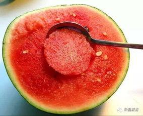 有什么免费吃瓜群,畅享娱乐盛宴，轻松获取热门资讯  第3张