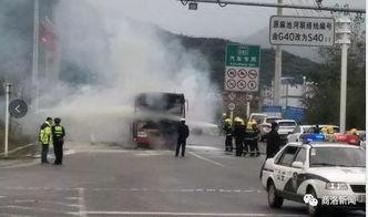 商洛加油站爆料案情最新,真相背后揭露惊人内幕  第3张