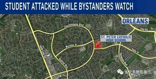 浑南区导游爆料事件视频,揭秘旅游行业潜规则  第2张