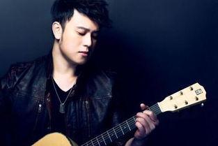 年轻男歌手爆料视频大全,娱乐圈幕后真相大揭秘  第2张