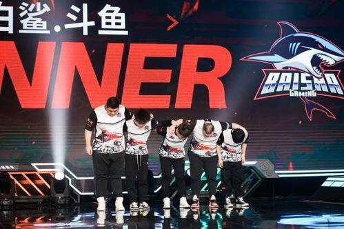 白鲨爆料比赛视频,比赛现场惊心动魄瞬间回顾  第2张