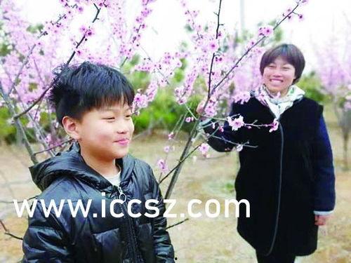 极道记者2在线观看,揭秘黑帮内幕，在线观看带你深入犯罪世界