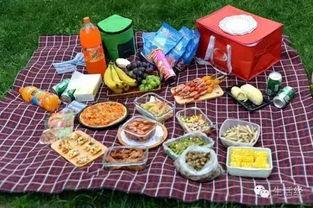 野餐兔网红吃瓜,揭秘娱乐圈幕后真相