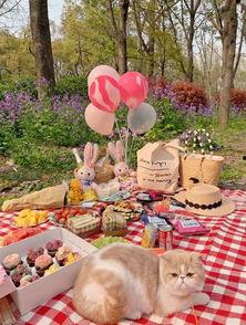 野餐兔网红吃瓜,揭秘娱乐圈幕后真相  第2张