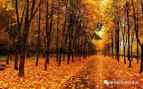 秋天妈妈最新爆料图片,秋日风情尽显母爱光辉 第3张 秋天妈妈最新爆料图片,秋日风情尽显母爱光辉 第3张