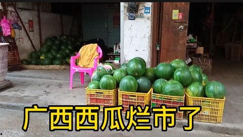 广西吃瓜网红是哪里人啊