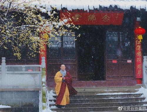 灵谷寺法师爆料视频下载