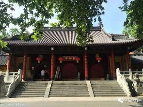 灵谷寺法师爆料视频下载  第2张