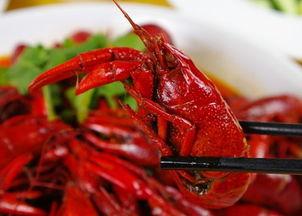 龙虾最新爆料新闻内容,揭秘幕后真相,行业乱象引发热议 第2张 龙虾最新爆料新闻内容,揭秘幕后真相,行业乱象引发热议 第2张