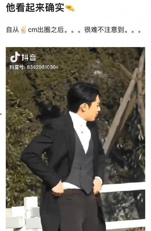 扒叔大爆料王鹤棣视频大全,王鹤棣视频大全，精彩瞬间一网打尽！