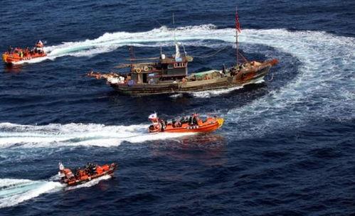 爆料渔船视频大全集下载