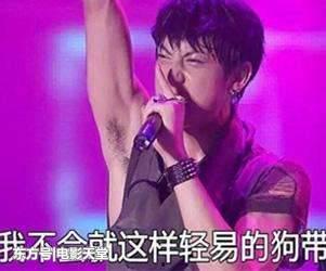 爆料娱乐圈前辈有哪些人,辉煌与坎坷并存 第2张 爆料娱乐圈前辈有哪些人,辉煌与坎坷并存 第2张