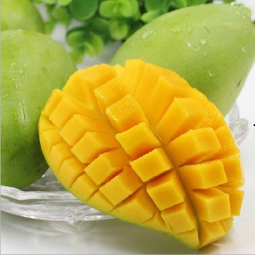 芒果老王爆料视频大全,视频大全精彩瞬间回顾