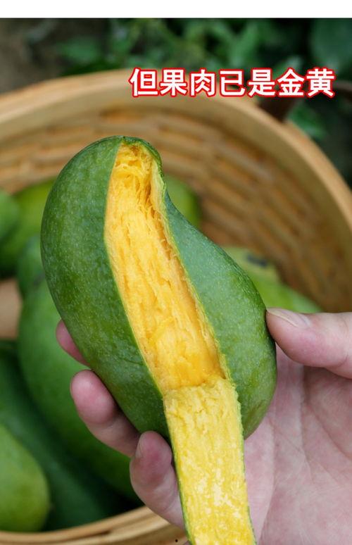 芒果老王爆料视频大全,视频大全精彩瞬间回顾  第2张