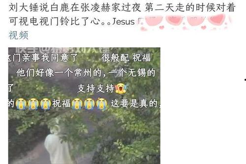 最新爆料白鹿张凌赫视频  第3张