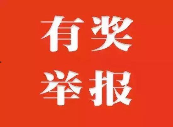 温州新闻爆料有奖励吗,热心市民助力新闻监督