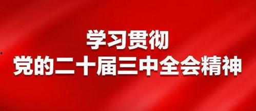 九月卧谈会爆料新闻,揭秘娱乐圈最新动态  第2张