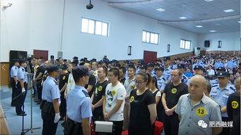 肥西县今天爆料事件最新,事件真相揭开,真相令人震惊! 第2张 肥西县今天爆料事件最新,事件真相揭开,真相令人震惊! 第2张