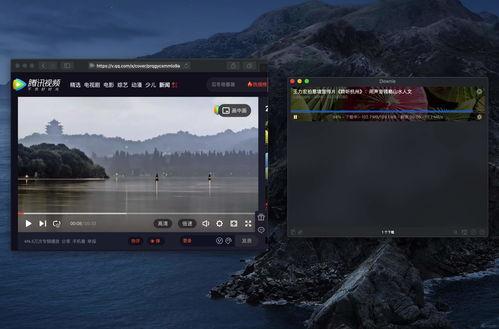 爆料河流视频下载网站,一网打尽精彩瞬间