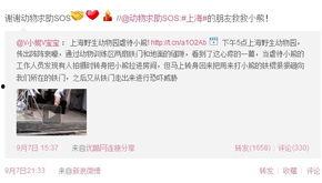 动物园员工爆料视频 第3张 动物园员工爆料视频 第3张