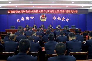 甘肃西和县爆料新闻视频