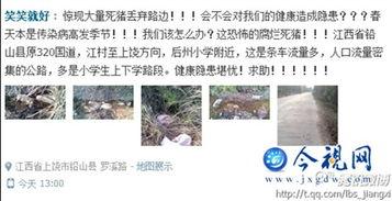 铅山县本地爆料案件最新,真相背后引关注