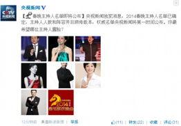 新闻爆料主持人名单最新,主持人名单大揭秘，精彩阵容引期待  第2张