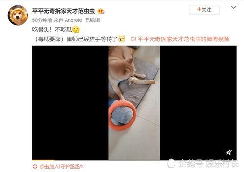 张小寒爆料了吗视频播放,揭秘背后真相