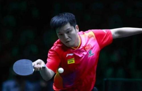 王楚钦黑历史爆料视频最新,爆料视频曝光惊人内幕 第3张 王楚钦黑历史爆料视频最新,爆料视频曝光惊人内幕 第3张