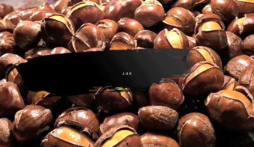 板栗视频在线观看,在线观看，尽享视听盛宴  第2张