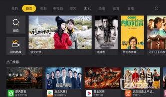 各大电视台在线观看,畅享海量精彩内容