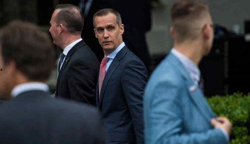 白宫顾问最新爆料